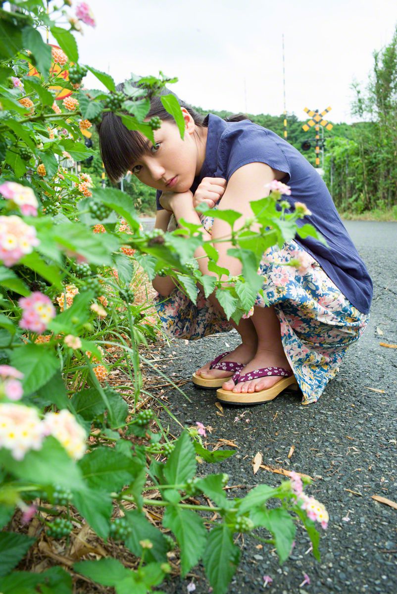 秋雨不知岁